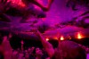 Long-Running <em>Fuerza Bruta</em> Will End Its New York Engagement After Nine Years