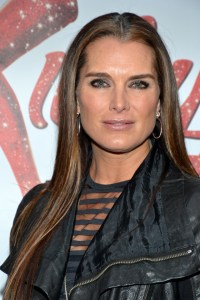 Brooke Shields, Mario Cantone, Roger Bart, and More Join <em>Celebrity Autobiography</em>