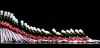 Rockettes to Kick Off Holiday Season With <em>Christmas Spectacular</em> Preview