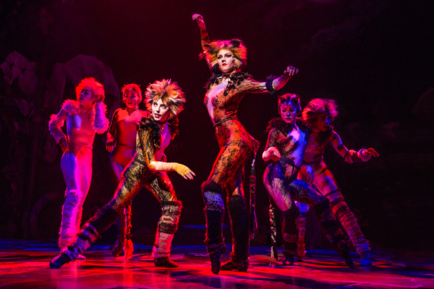 CATS - Broadway San Diego