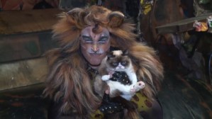 Grumpy Cat Becomes the First Genuine Feline to Join the Cast of <em>Cats</em>
