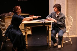 <em>The Dressmaker's Secret</em>