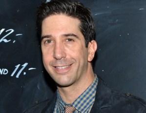 David Schwimmer and More Set for Lookingglass Theatre Season