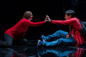 <em>The Curious Incident of the Dog in the Night-Time</em>
