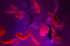 Works by Romulus Linney, Steven Sater, Duncan Sheik, David Zellnik et al. Set for E.S.T.’s 2011 Marathon of One-Act Plays