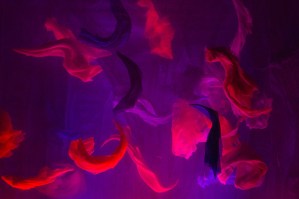Basil Twist's <em>Symphonie Fantastique</em> Announces Final Extension