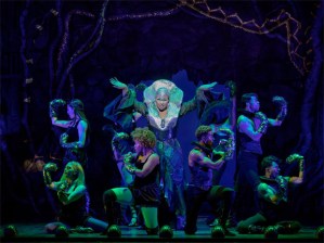 "Legacy Robe" Voted as New Name for Broadway Chorus Tradition