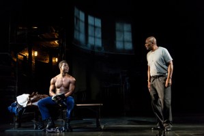 Forbidden Sex, Violence, and Regrets in <em>Man in the Ring</em>