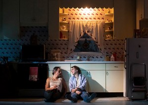Relaxed Performances Announced for <em>True West</em>, <em>Kiss Me, Kate</em>, and More