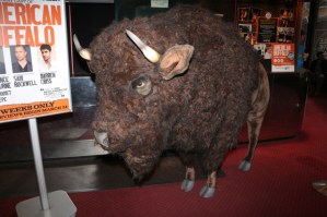 The Weekend Report: Meet the (Stuffed) Buffalo Mascot of Broadway's <em>American Buffalo</em>
