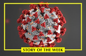 Should Fear of Coronavirus Stop You From Going to the Theater?