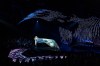 <em>KPOP</em> to End Broadway Run This Weekend