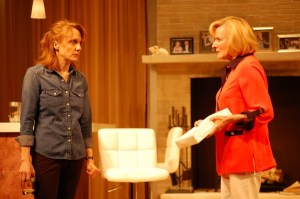 <em>Other Desert Cities</em>
