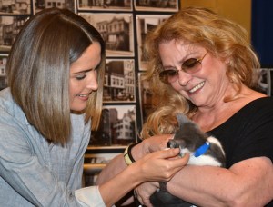Cute (but Not the Cutest) Kitten Cast in Broadway's <em>You Can't Take It With You</em>