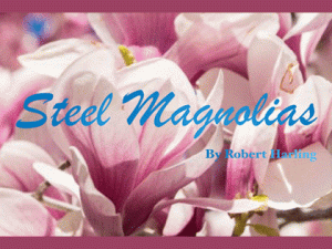 Steel Magnolias by Robert Harling