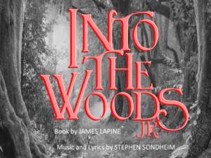 Into the Woods JR