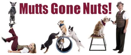 Mutts Gone Nuts  Acadiana Animal Aid