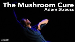 Adam Strauss’ “The Mushroom Cure” 2022 (Berkeley)