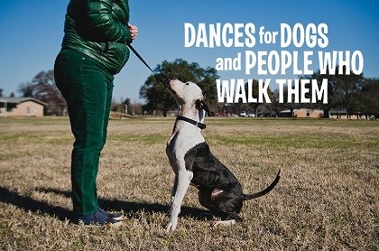 Performing Dogs Dances for Dogs and People Who Walk Them on Austin: Get Tickets Now ...