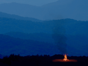 Lost In Affinity: A Paper Trail Staged Reading