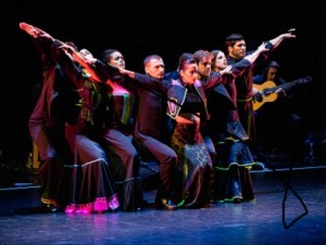 FLAMENCO VIVO CARLOTA SANTANA