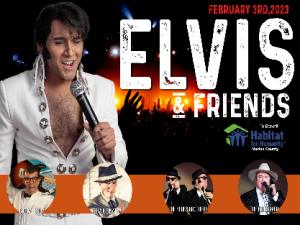 Elvis and Friends