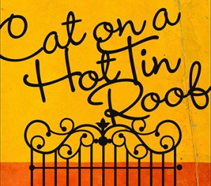 Cat on a Hot Tin Roof