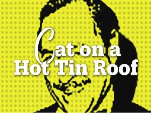 Cat on a Hot Tin Roof – 2022