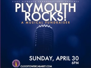 Plymouth Rocks