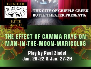 The Effect of Gamma Rays on Man-in-the-Moon Marigolds