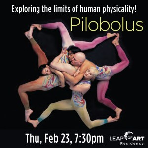 Pilobolus