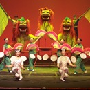 The Peking Acrobats