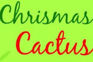 A Christmas Comedy