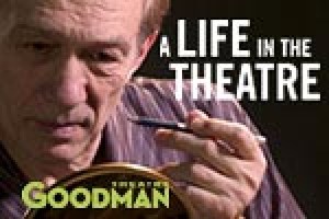A Life in the Theatre