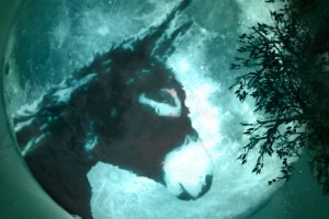A Midsummer Night’s Dream