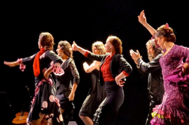 a palo seco flamenco logo 91875