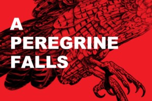 A Peregrine Falls