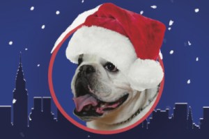 A Very Crab-y Christmas