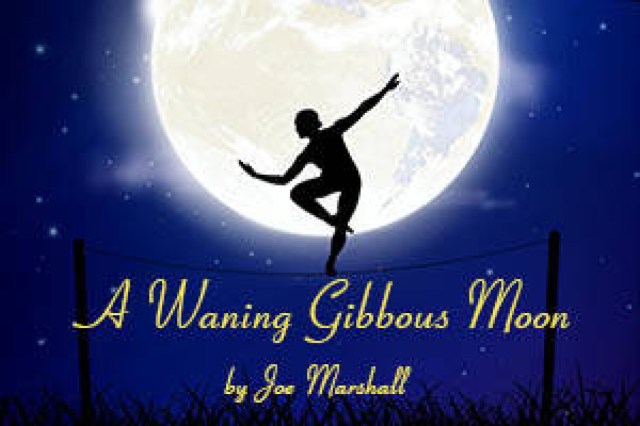 a waning gibbous moon logo 89462