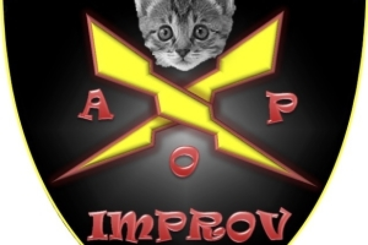 accidentally on purpose logo Broadway shows and tickets