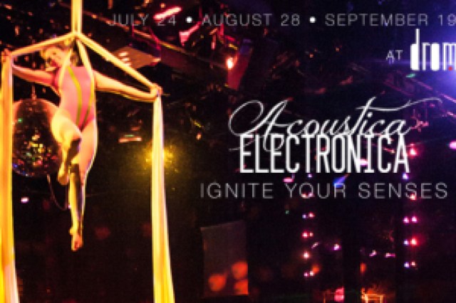 acousticaelectronica logo 49734