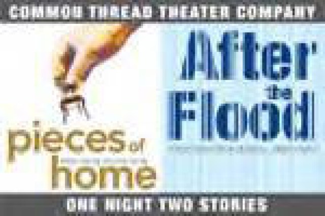 after the flood and pieces of home logo 27323