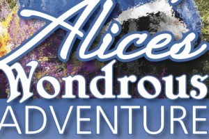 Alice’s Wondrous Adventure