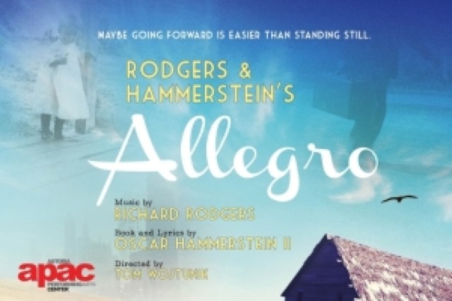 allegro logo 38095 1