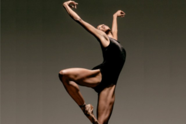 alonzo king lines ballet logo 37028