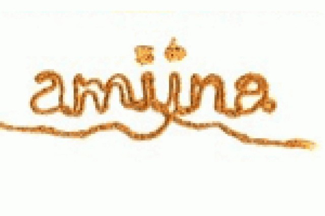 amiina logo 24629