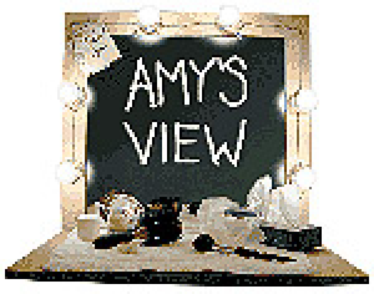 amys view logo 784