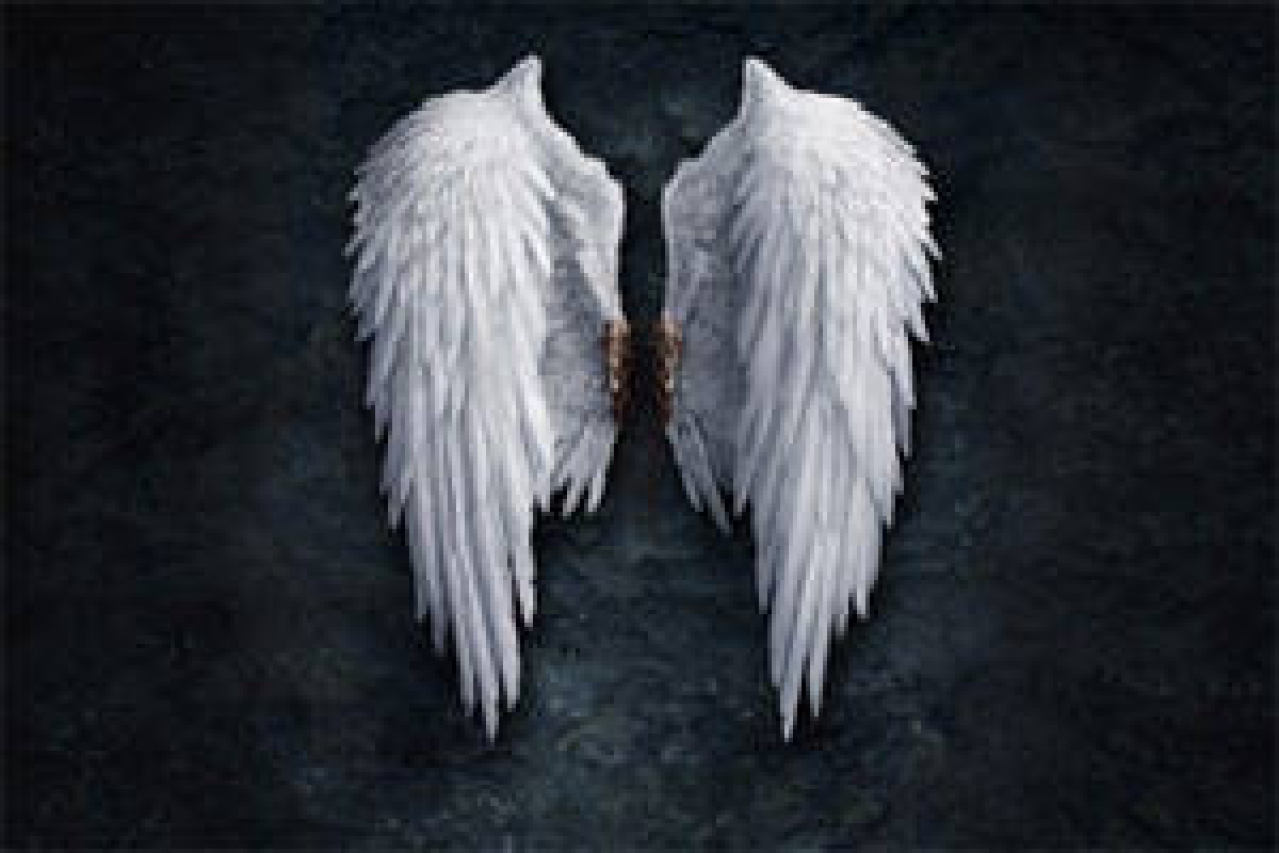 angels bone logo 51771 1