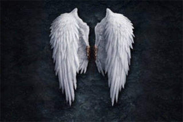 angels bone logo 51771 1