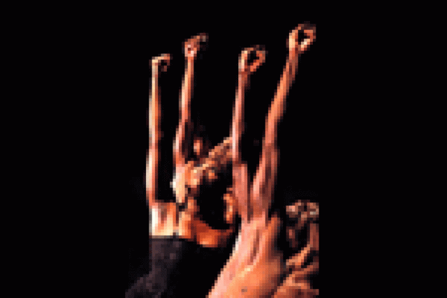 ayikodans logo 12593